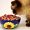 Cat Food Basics – Tips for choosing Cat food