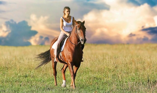 Horse riding safety tips