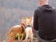 Best Dog Carrier Hiking Backpacks